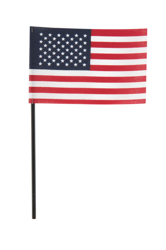 Flags 8" x 6" Set of 1-1000 on stick Patriotic for Anniversary Details about   American U.S.A 
